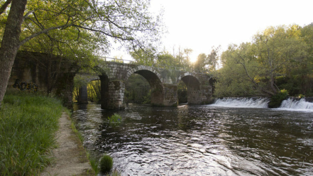 Naturaleza en Terras de Celanova y Sierra del Xurés