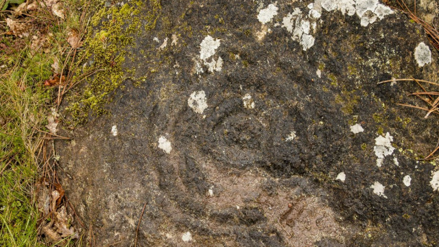RUTA DE LOS PETROGLIFOS DE FREIXO