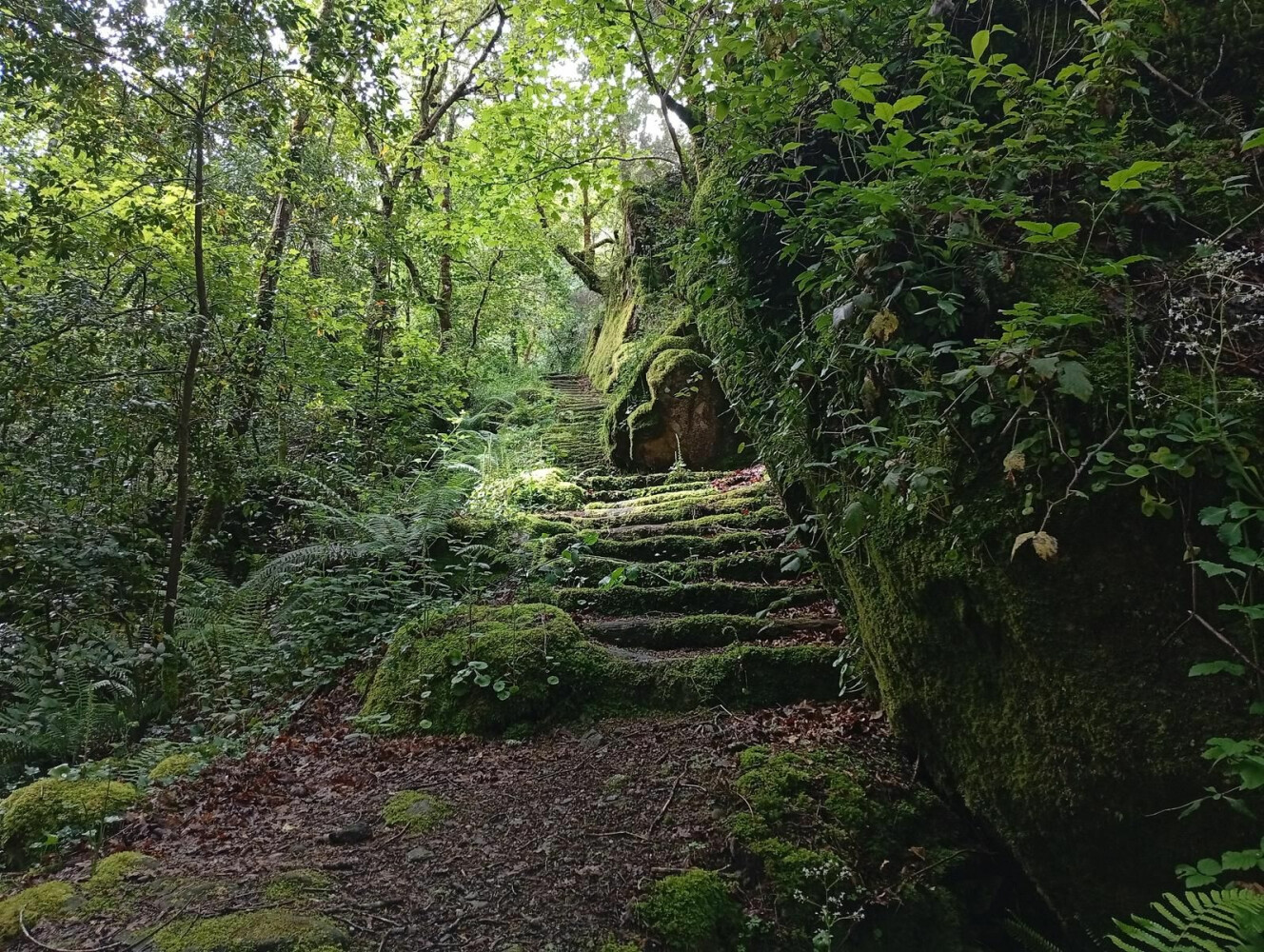 RUTA DOS MUÍÑOS DO GORGUA