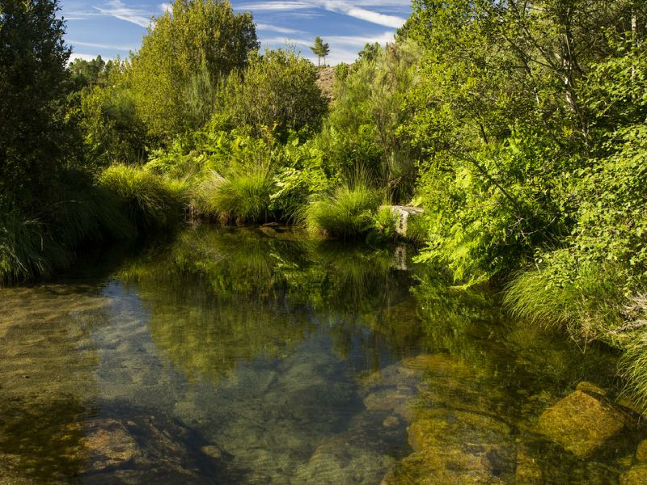 río Maó