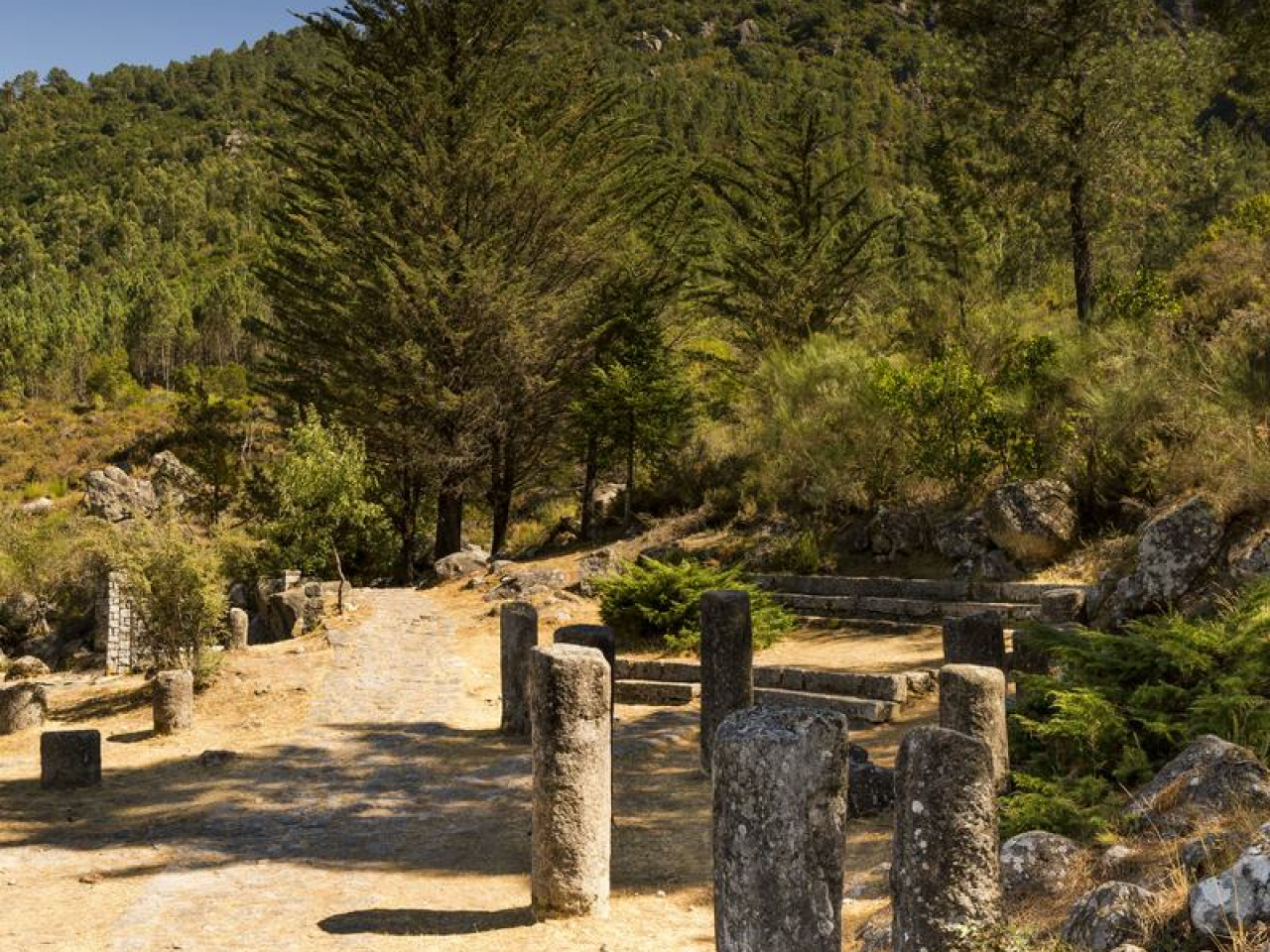 Camino Natural Vía Nova (0)